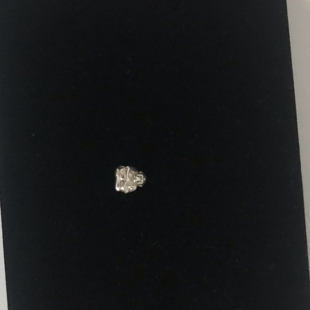 Pandora monkey charm